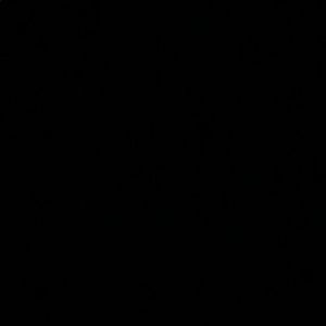 Meet your Posher, Coco